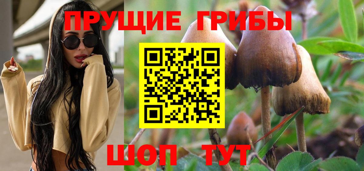 Псилоцибиновые грибы GOLDEN TEACHER  Вход с VPN  Клин  Галлюциногенные грибы Psilocybe 