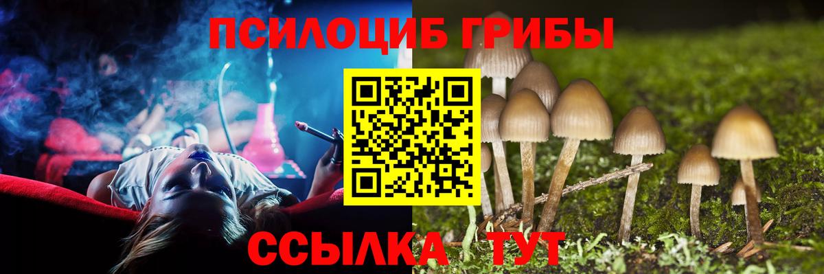 Галлюциногенные грибы MAGIC MUSHROOMS Клин